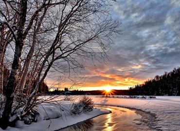 winter-landscape-2995987_1280.jpg